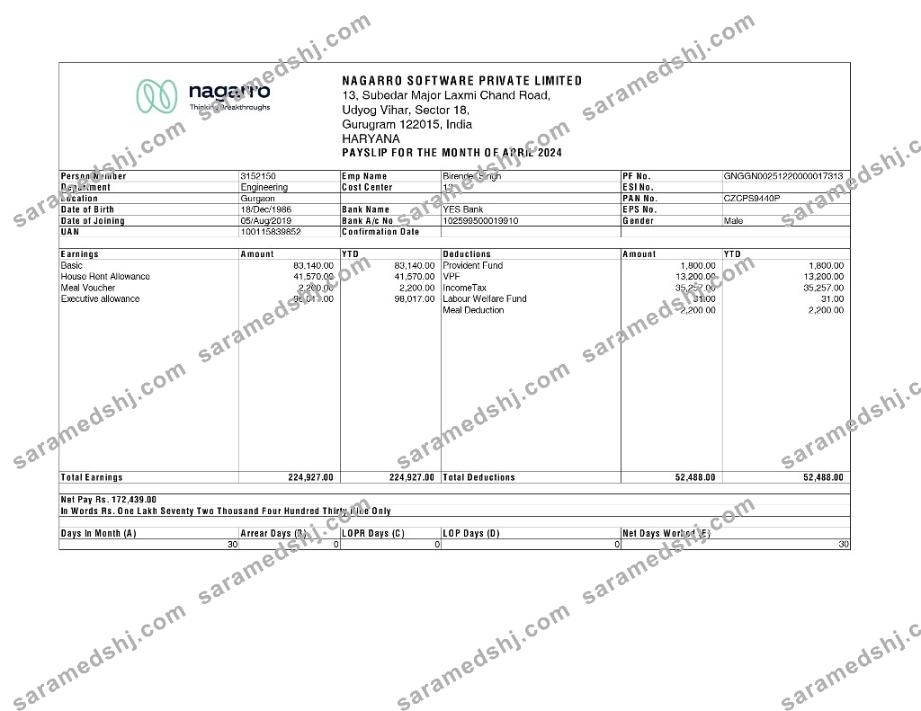 Nagarro Software payslip template in Word and PDF formats.pdf, 1